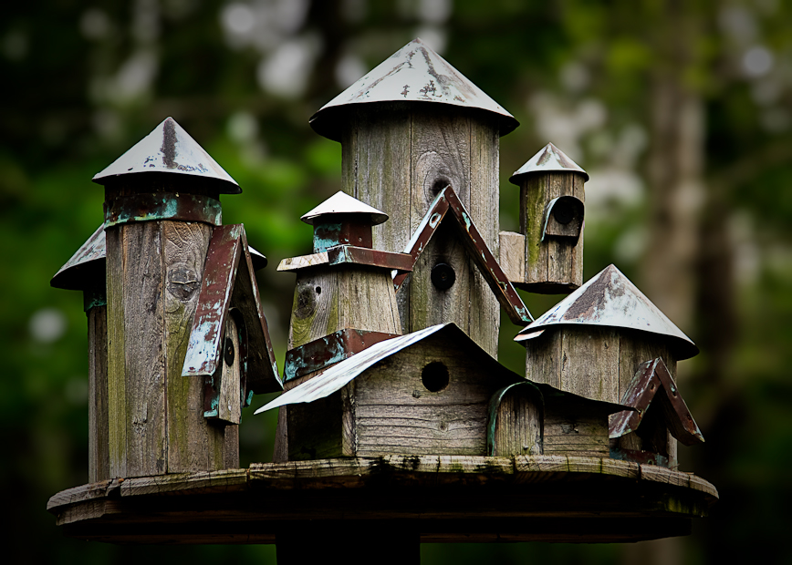 Birdhouses. A Little Bit of Nonsense.